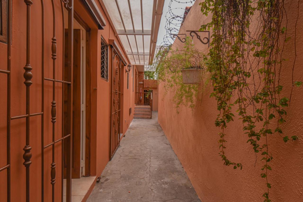Ph 19 Guesthouse Hotel In Gazcue Santo Domingo Dış mekan fotoğraf
